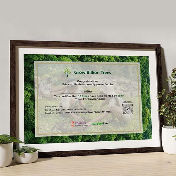 Customised Tree e-Certificate: Perfect Digital Gift for Eco-Warriors