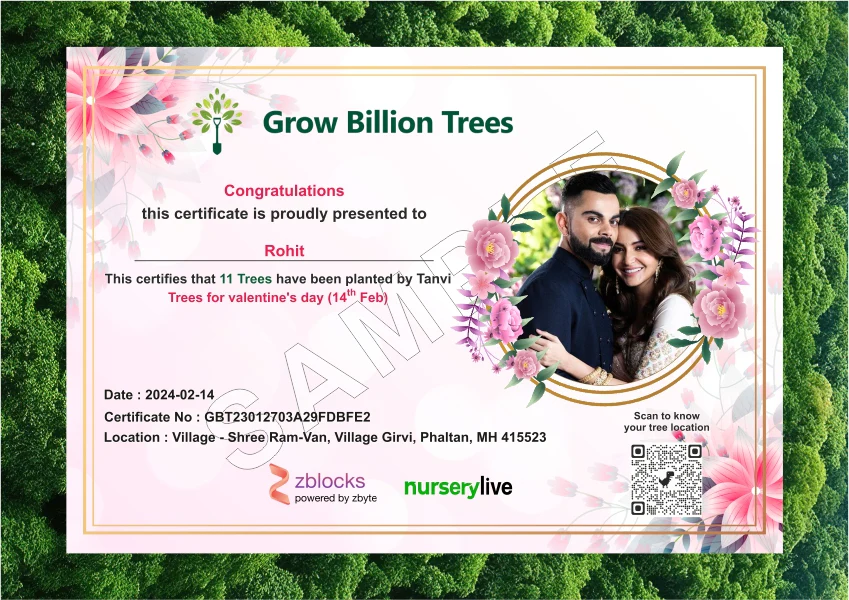 Memory Garden - 11 Trees for Valentine's Day Gift | Grow Love - Image 4