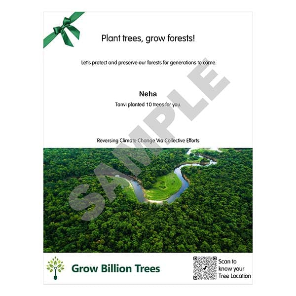 Trees for Bangalore: Plant Native Trees in Garden City ₹299 - Image 3
