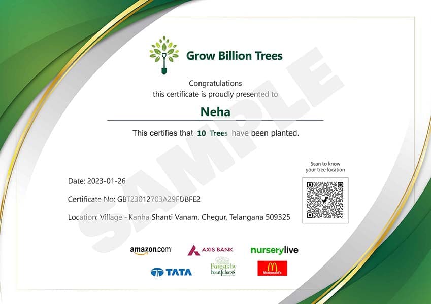 Trees for Bangalore: Plant Native Trees in Garden City ₹299 - Image 4