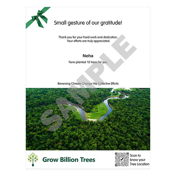 Trees for Employees: Transform Your Corporate Culture in 2026 - Image 3