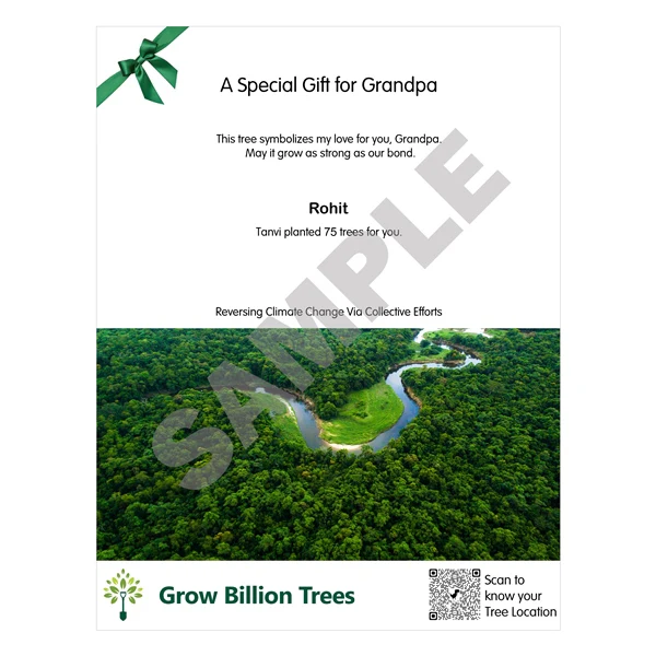 Trees for Grandfather - Image 3