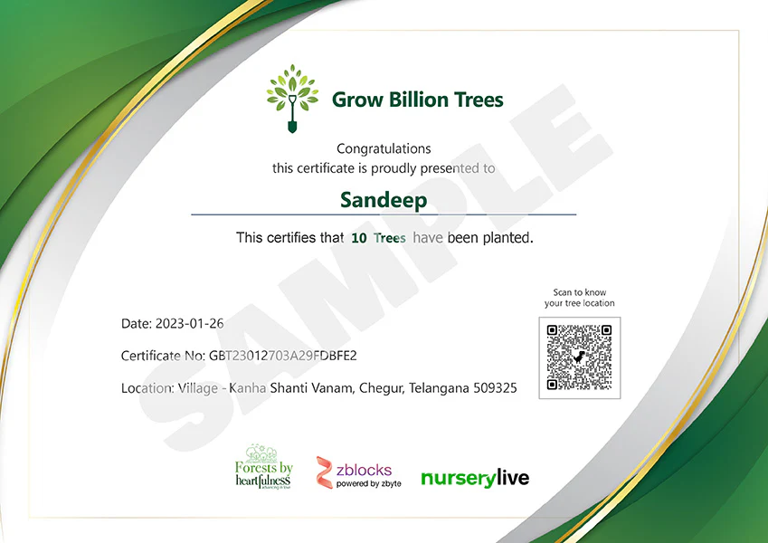 Trees for Gurpurab: Honor Guru Nanak's Sacred Environmental Wisdom - Image 4