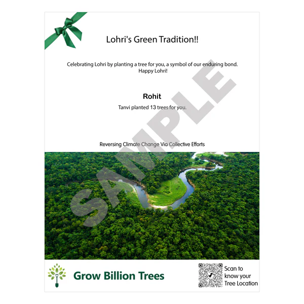 Trees for Lorhi: Plant Memorial Trees to Honor Loved Ones - Image 3