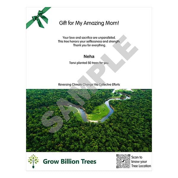 Trees for Mother - Image 3