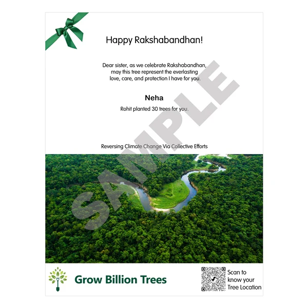 Trees for Raksha bandhan - Image 4