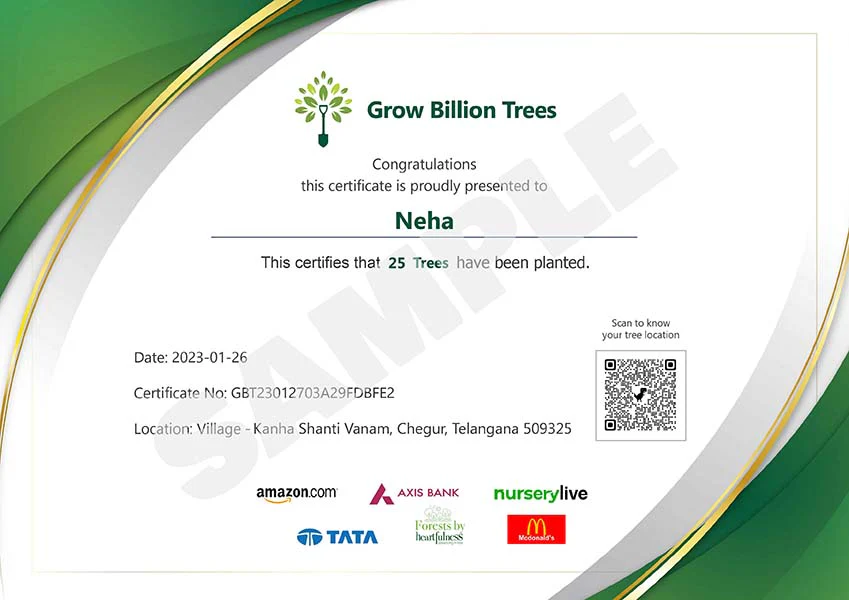 Trees for Women's Day (8th Mar) - Image 3